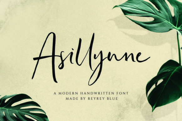 Asillynne Script Font for Modern Digital Branding