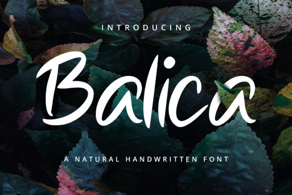 Balica Script Font for Eye-Catching Branding and Quotes