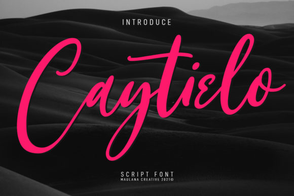 Caytielo: Elegant Script Font for Small Business Branding
