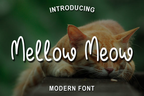 Mellow Meow Script Font for Polished Digital Branding