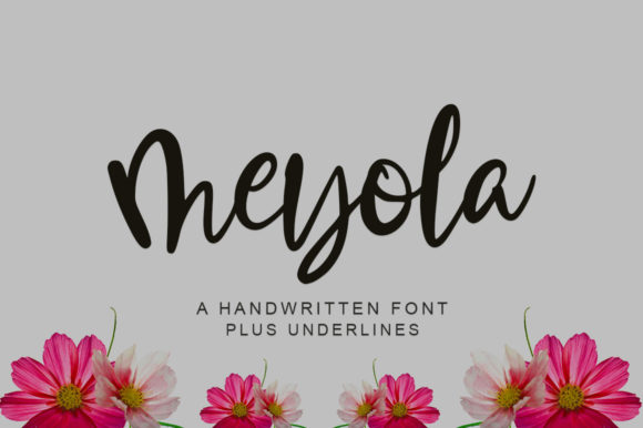 Meyola Script Font for Elegant Branding