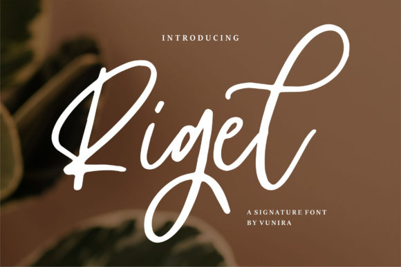 Rigel: A Stylish Brushed Script Font for Digital Branding